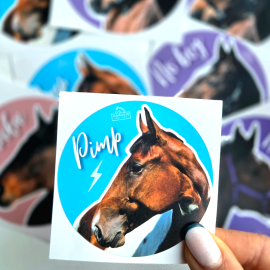 Naklejki z Twoim koniem EDYCJA LIMITOWANA