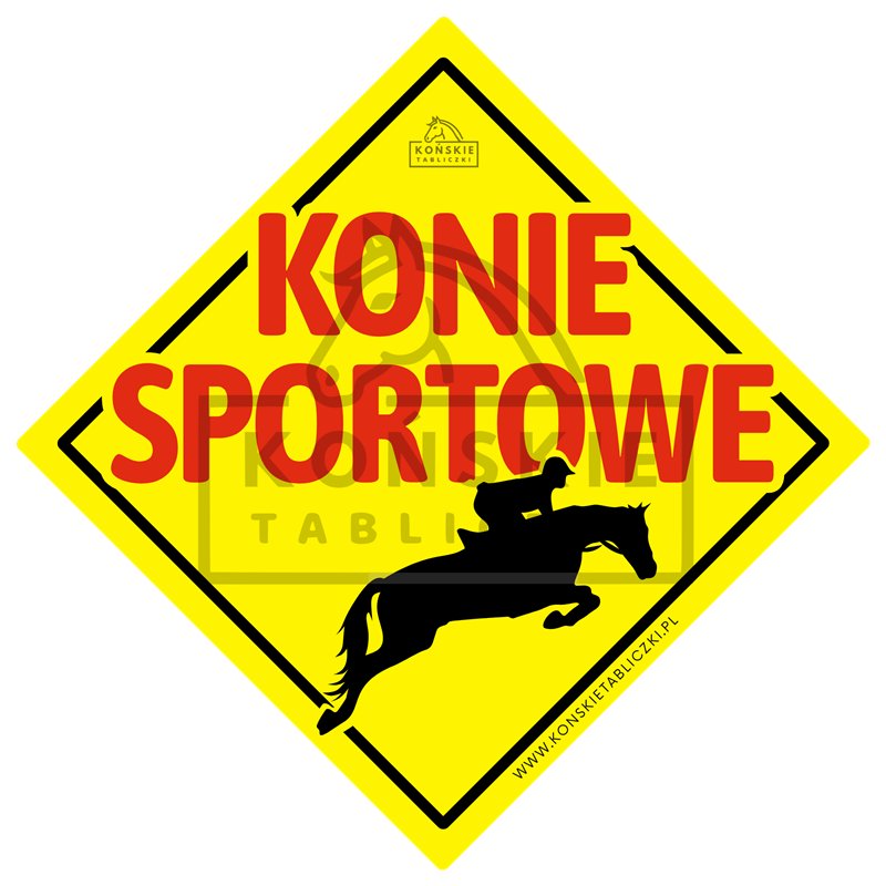 Konie Sportowe (skoki)