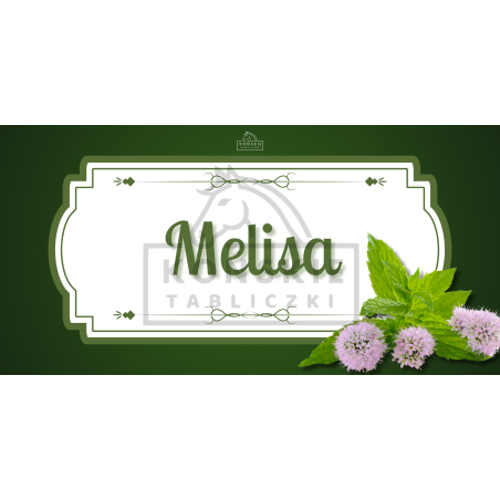 Herbs - melisa