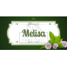 Herbs - melisa