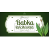 Herbs - babka lancetowata