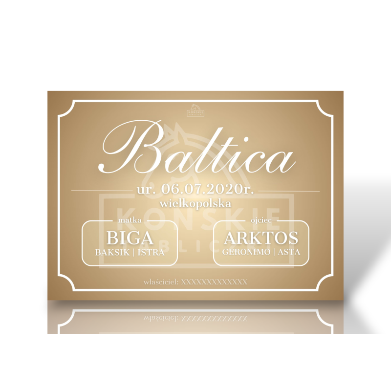 Tabliczka Classic Bellator